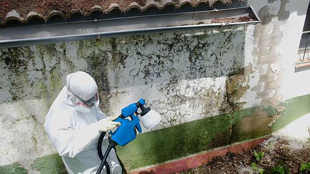 Top rated local Mold Remediation specialists in Shade Gap, PA
